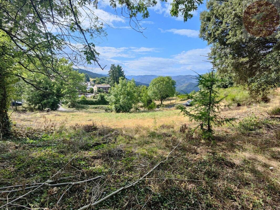 Terrain à MOISSAC-VALLEE-FRANCAISE