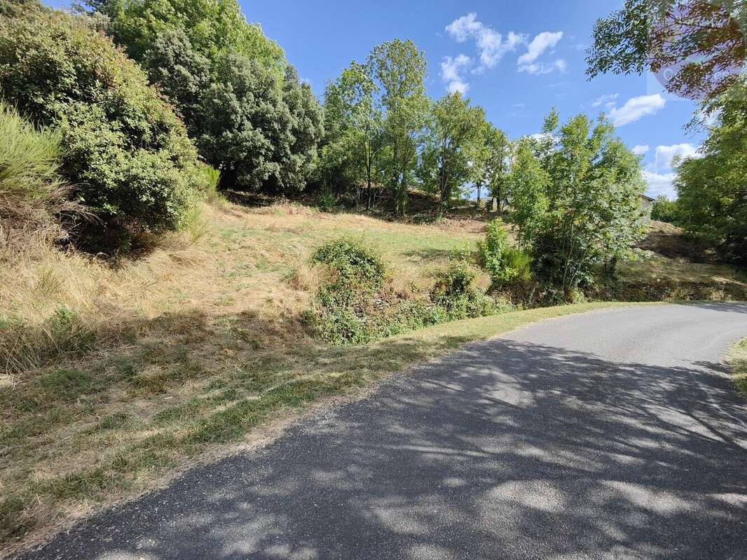 Terrain à MOISSAC-VALLEE-FRANCAISE