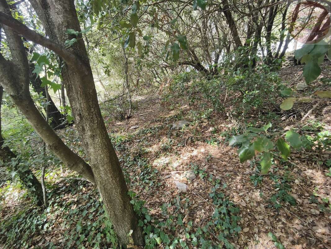 Terrain à MOISSAC-VALLEE-FRANCAISE