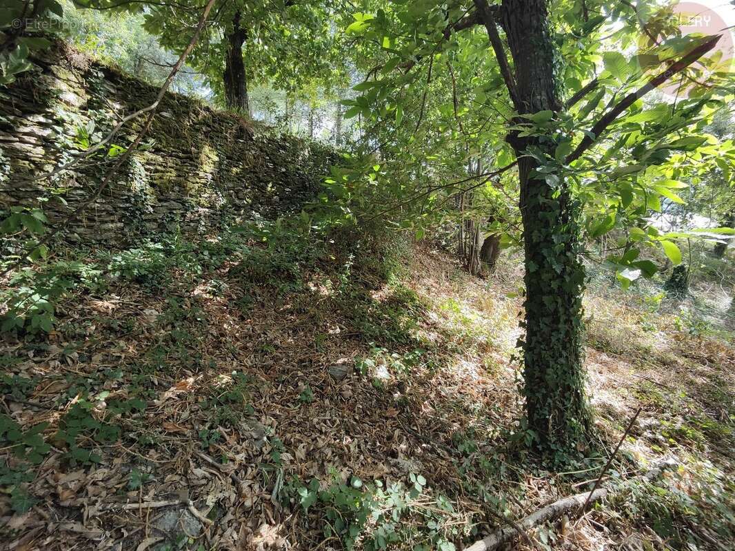 Terrain à MOISSAC-VALLEE-FRANCAISE