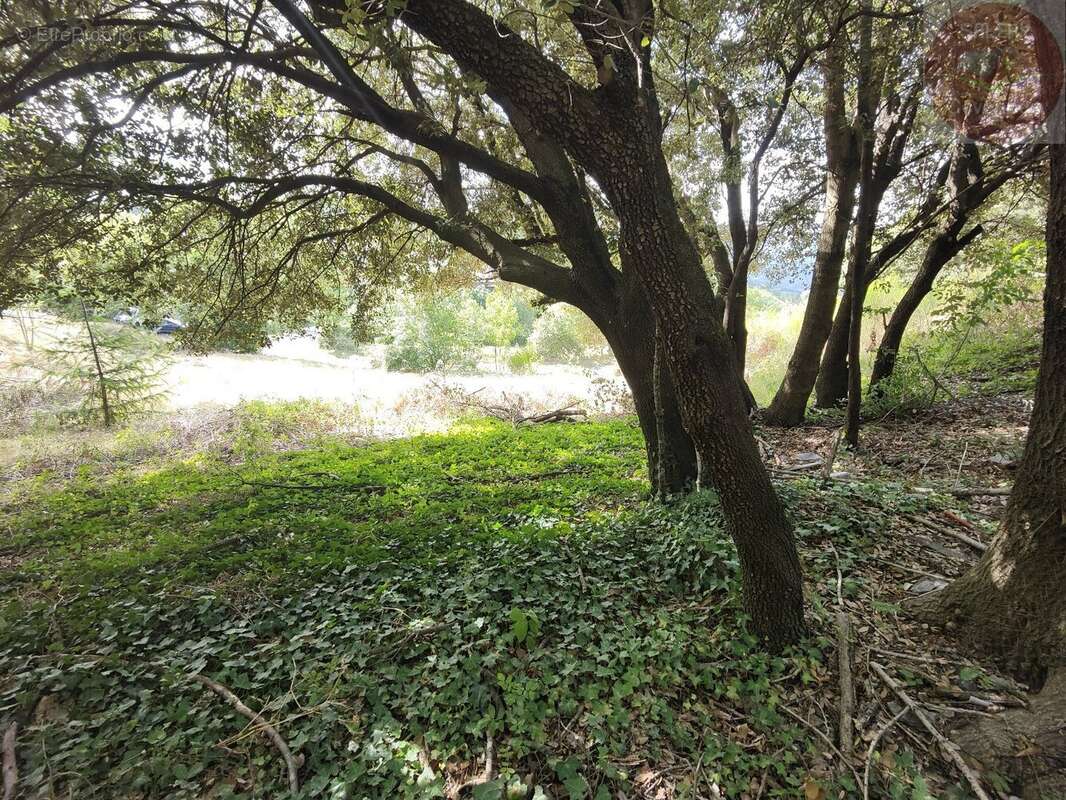 Terrain à MOISSAC-VALLEE-FRANCAISE