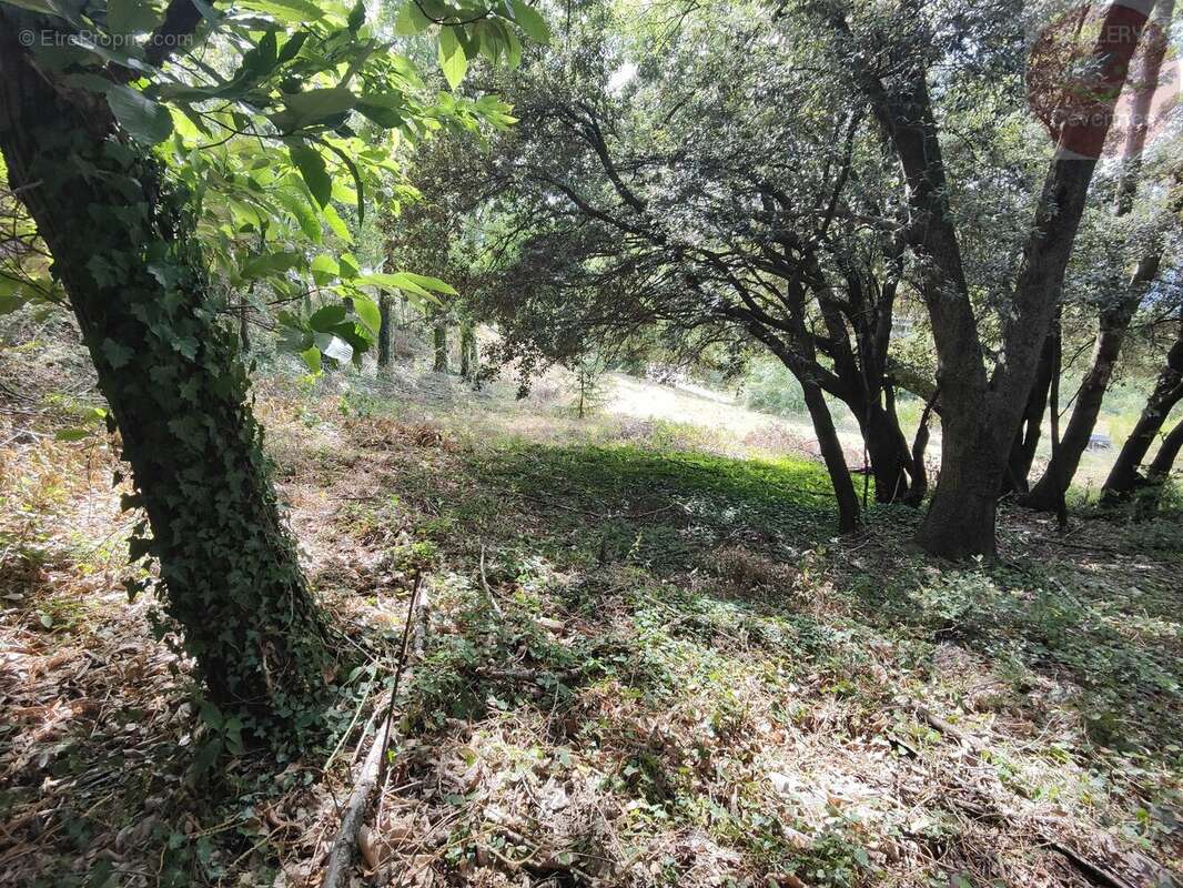 Terrain à MOISSAC-VALLEE-FRANCAISE