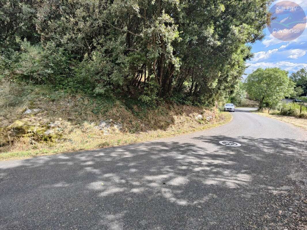 Terrain à MOISSAC-VALLEE-FRANCAISE