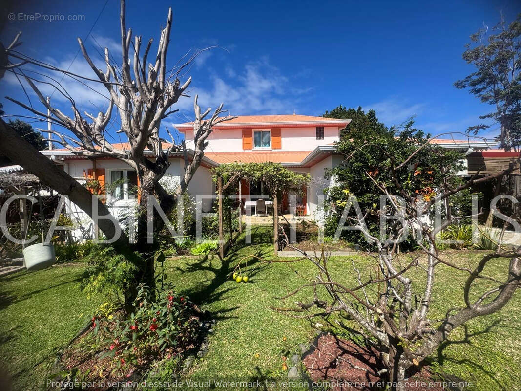 Maison à SAINT-JOSEPH