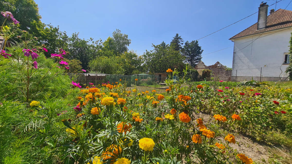 Maison à MARLES-SUR-CANCHE