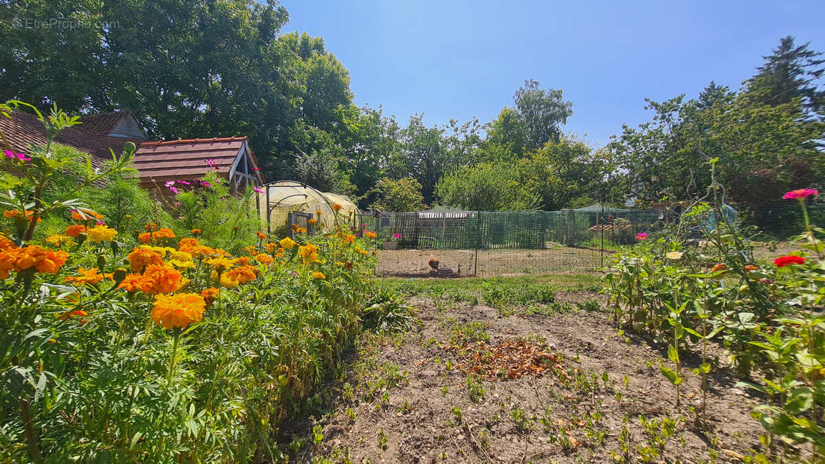 Maison à MARLES-SUR-CANCHE