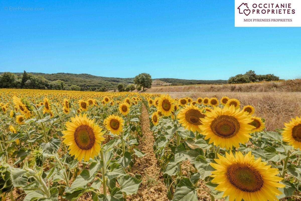 Maison à CASTELNAUDARY