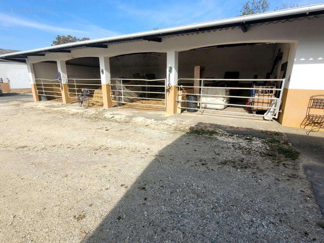 Terrain à SAINT-MAIME-DE-PEREYROL