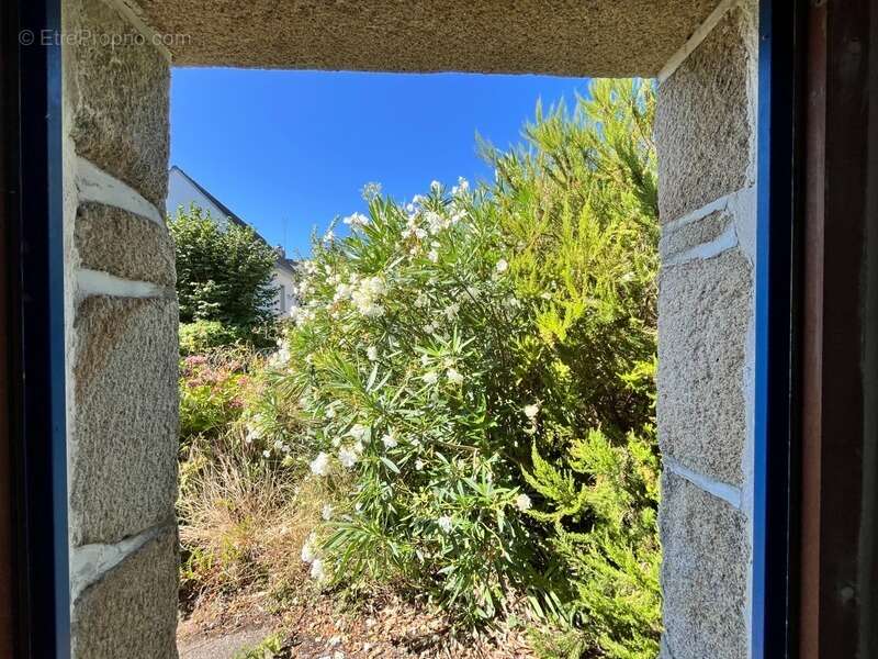 Maison à ILE-AUX-MOINES