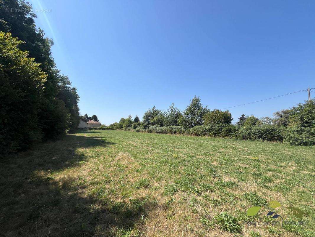 Terrain à EYBOULEUF