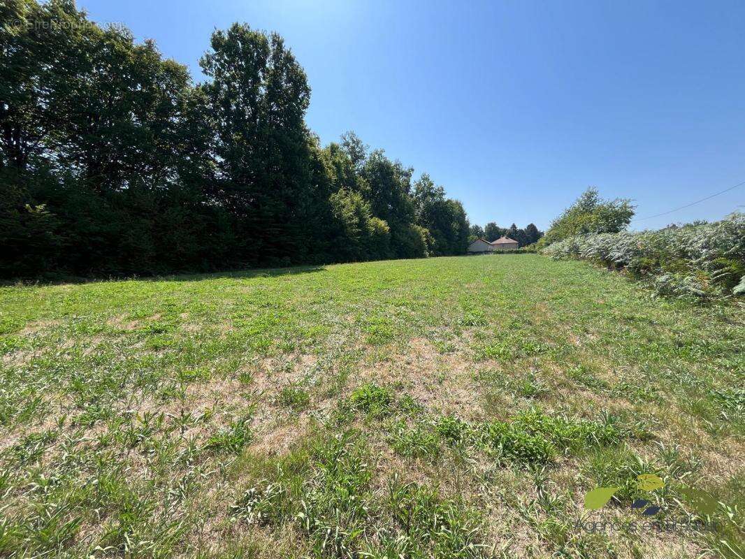 Terrain à EYBOULEUF