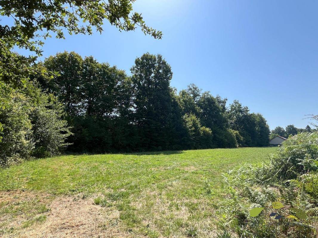 Terrain à EYBOULEUF