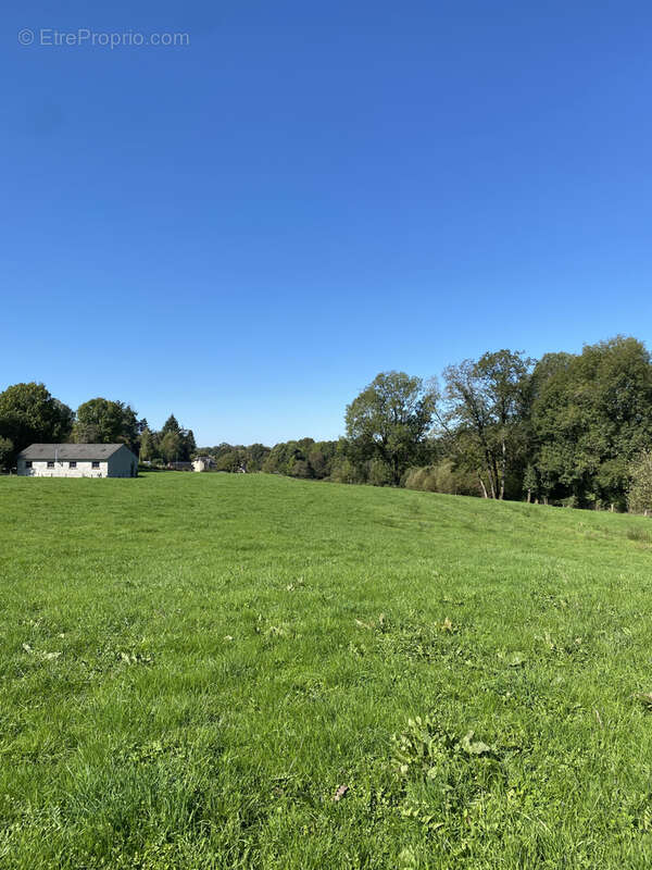 Terrain à LAGRAULIERE