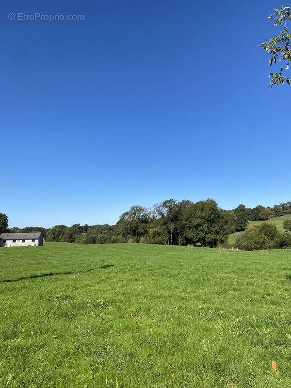 Terrain à LAGRAULIERE