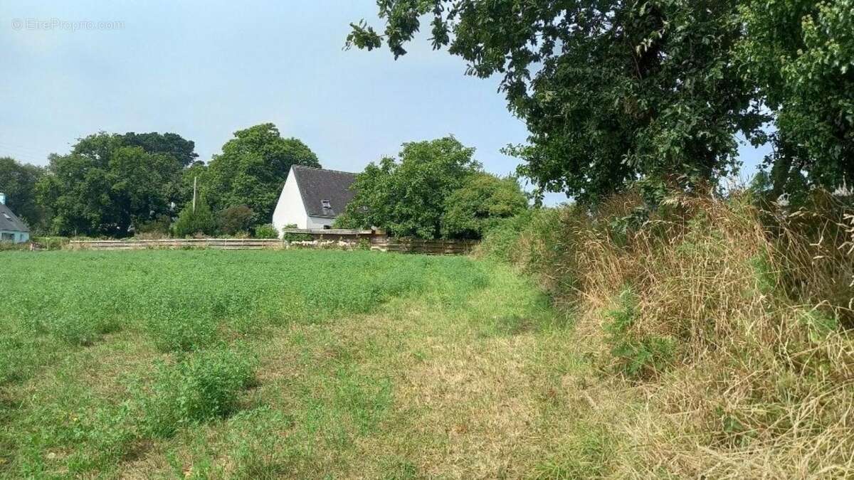 Terrain à PLOUDANIEL
