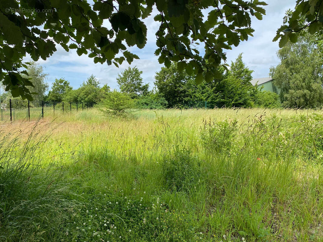 Terrain à LEFOREST