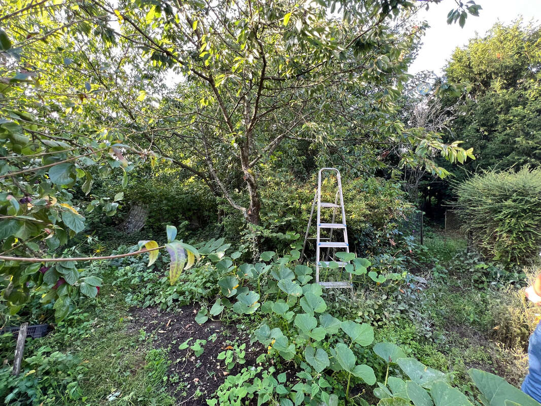 Terrain à BUIGNY-L&#039;ABBE