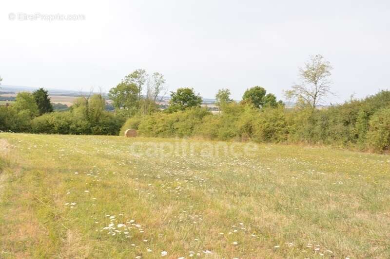 Terrain à ALLIGNY-COSNE