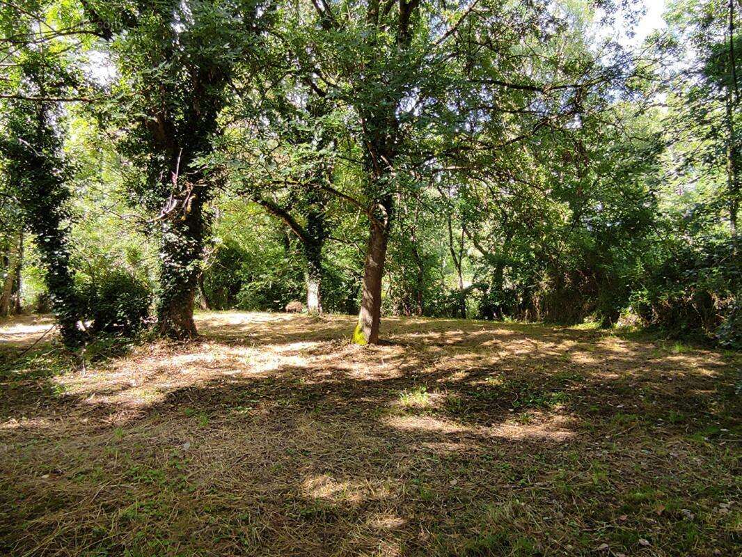 Maison à CHAUMUSSAY