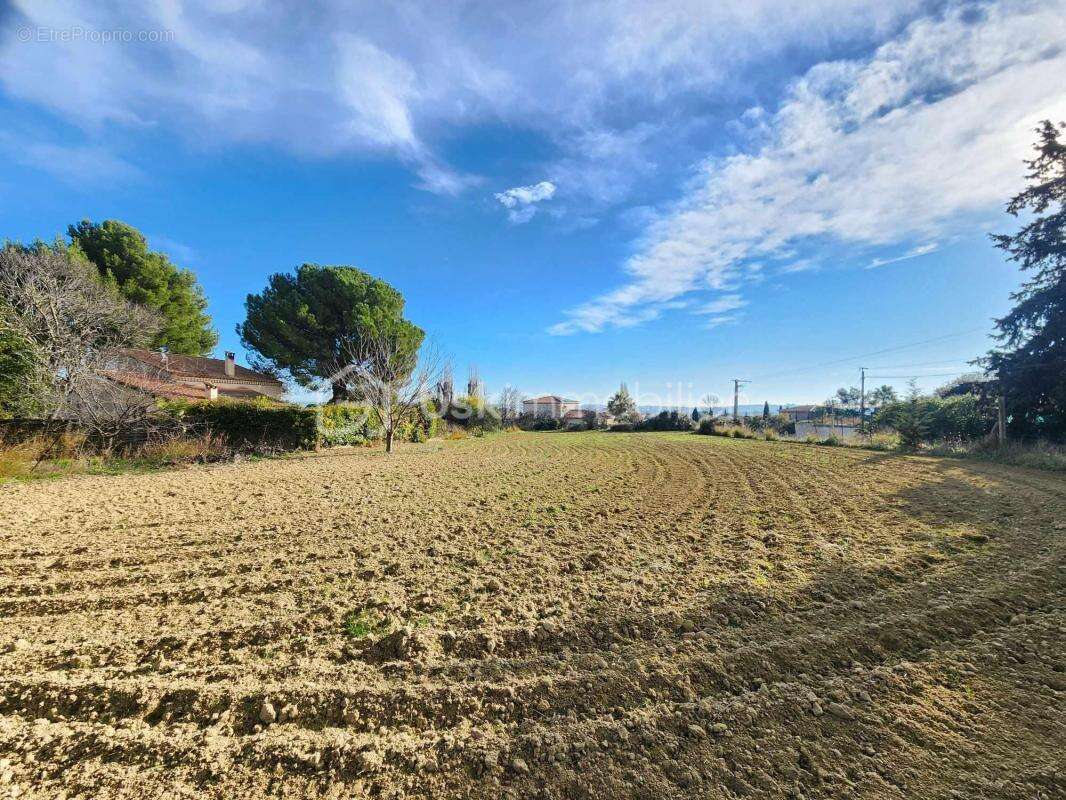 Terrain à TOURBES
