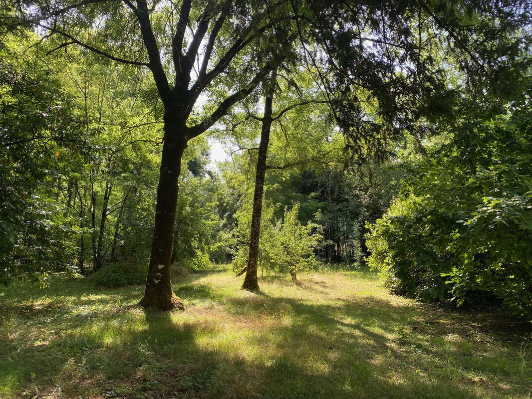 Maison à VERTEILLAC
