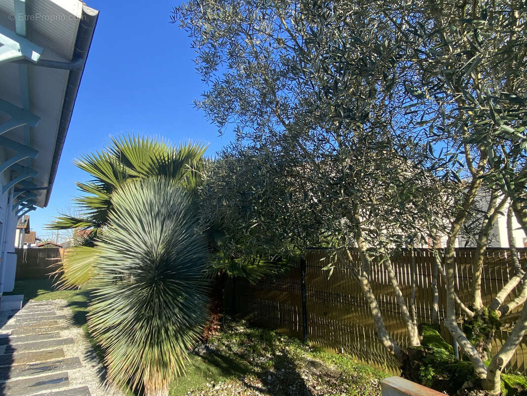 Maison à SAINT-VINCENT-DE-TYROSSE