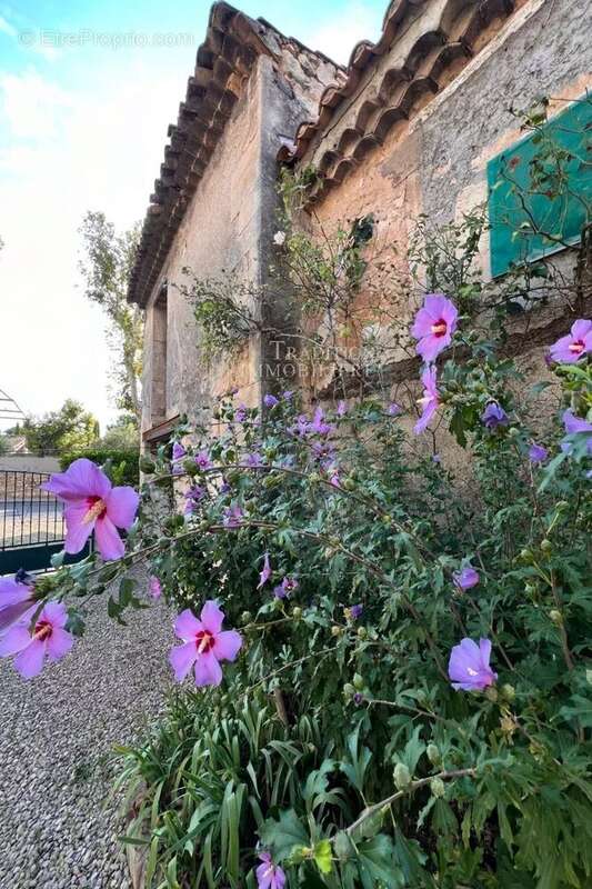 Appartement à MAUSSANE-LES-ALPILLES