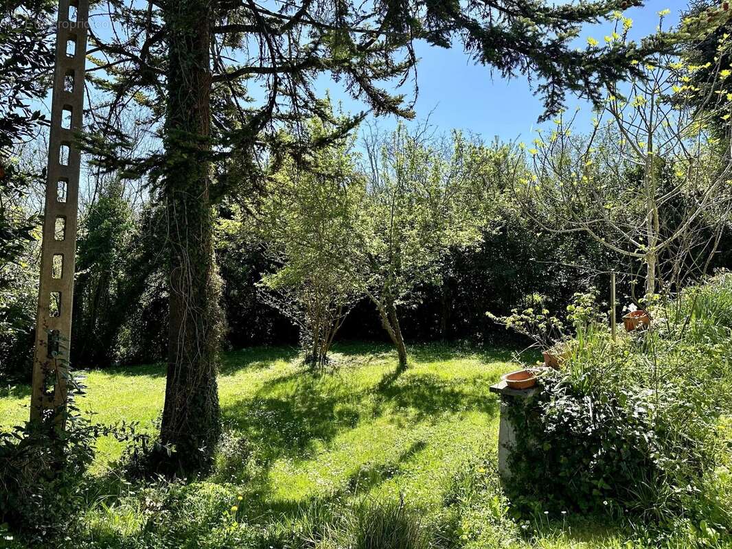 Maison à SALLES-LAVALETTE