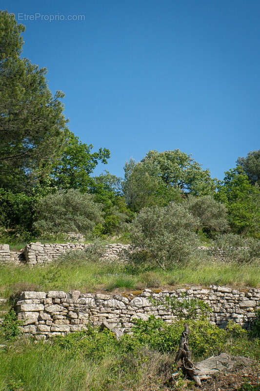 Maison à L&#039;ISLE-SUR-LA-SORGUE