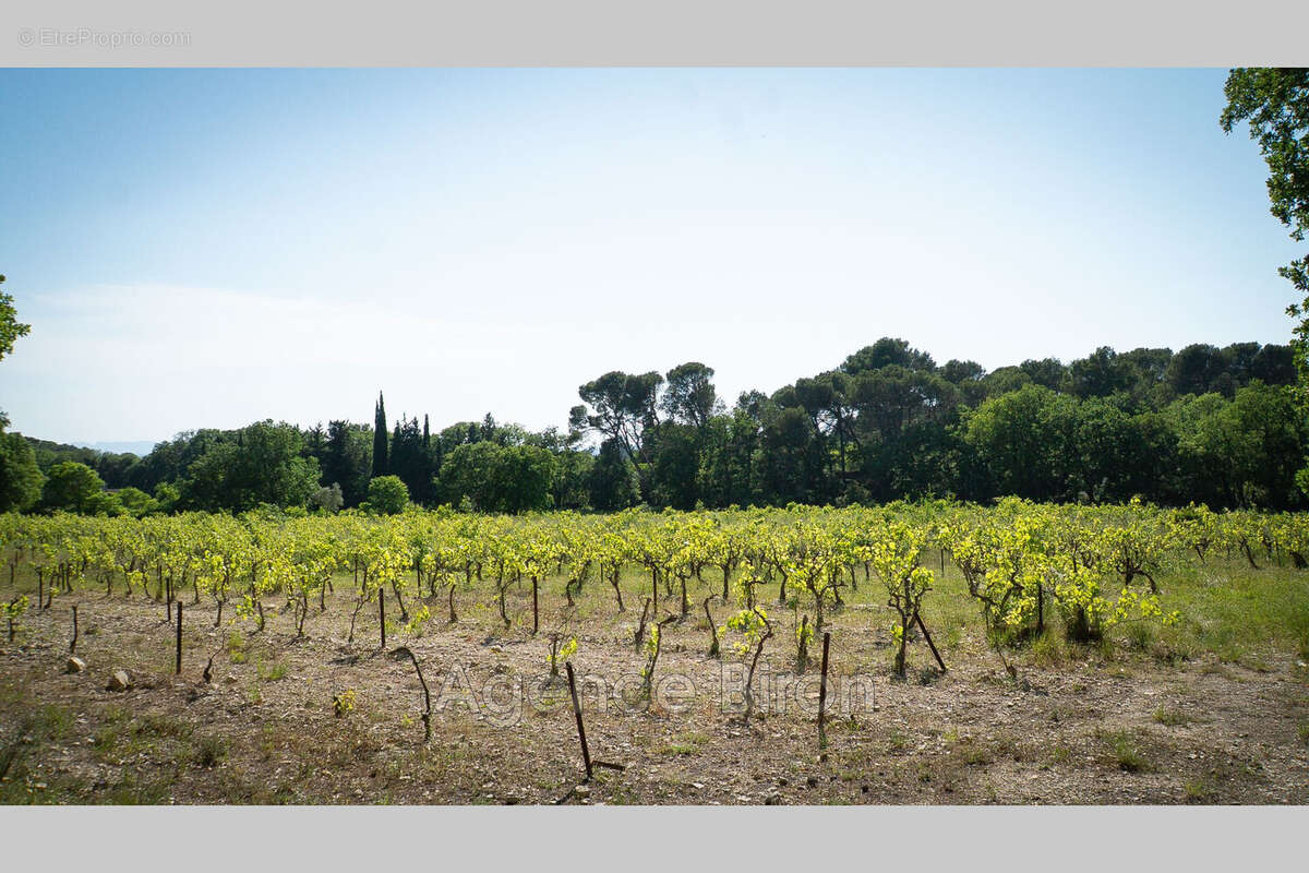 Maison à L&#039;ISLE-SUR-LA-SORGUE