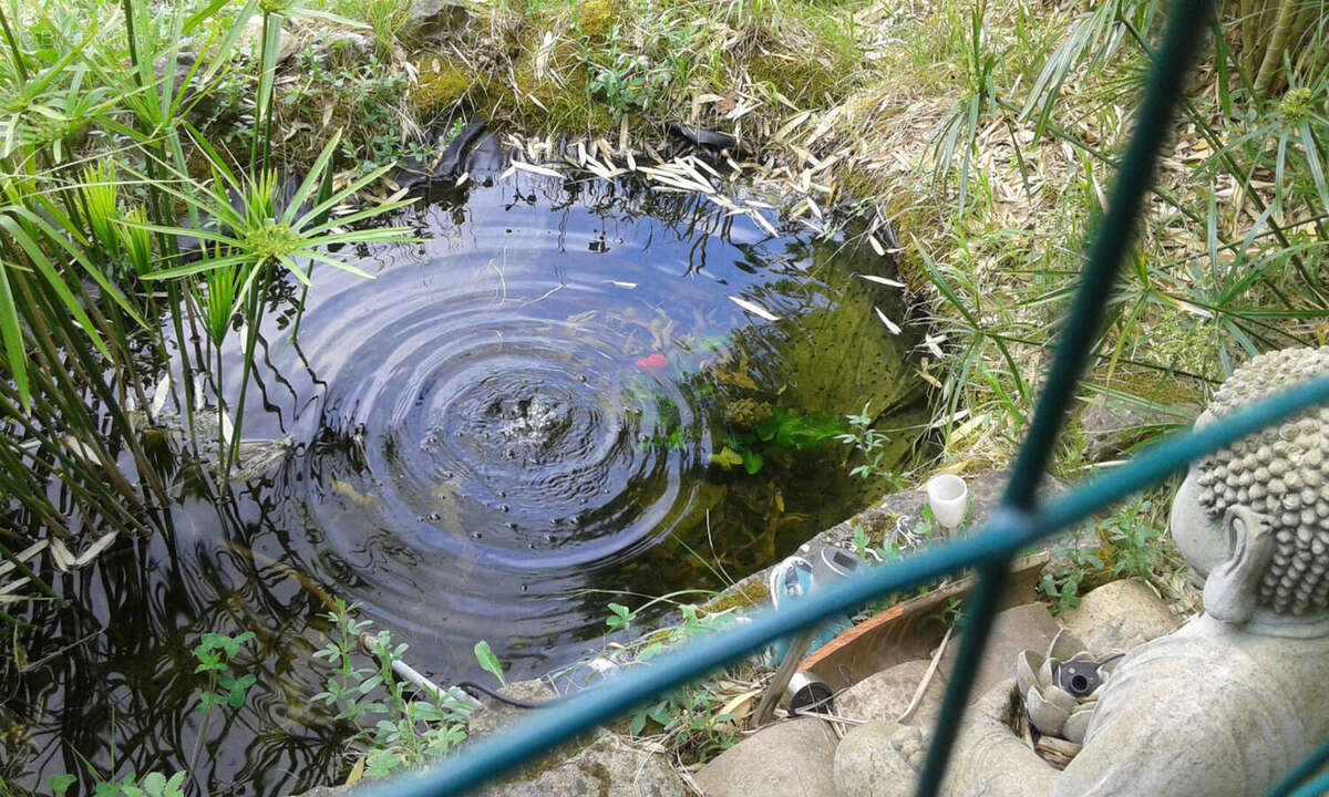Bassin - Maison à CARCASSONNE