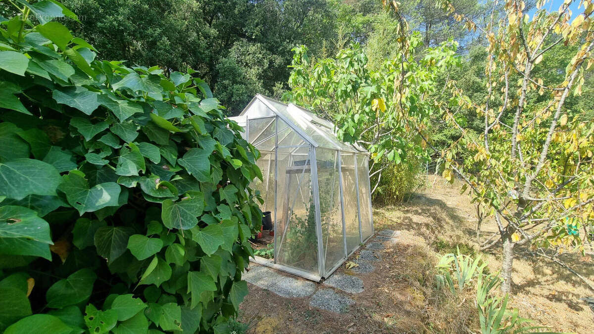 jardin - Maison à CARCASSONNE