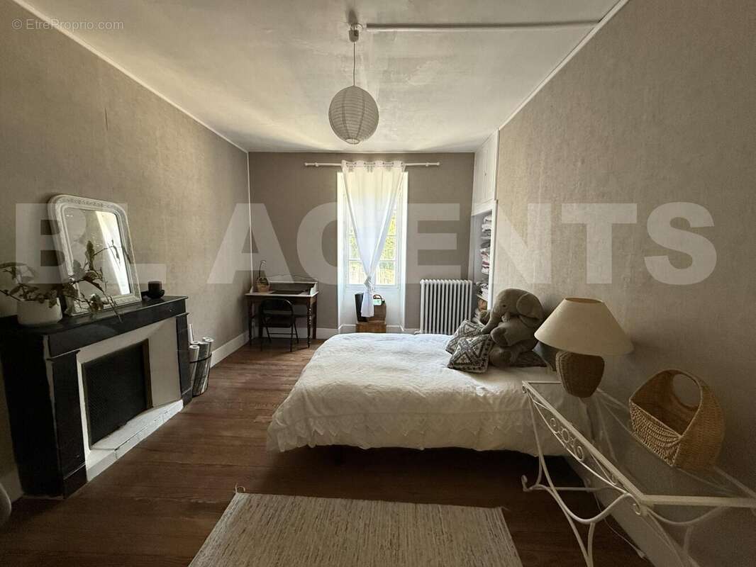 IMG_1603 - Maison à BOISSEZON