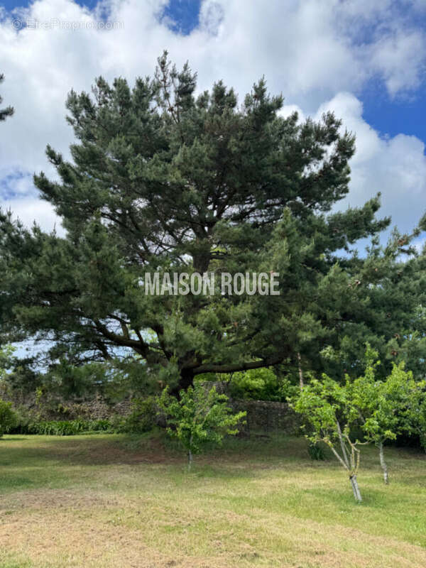 Maison à SAINT-MALO