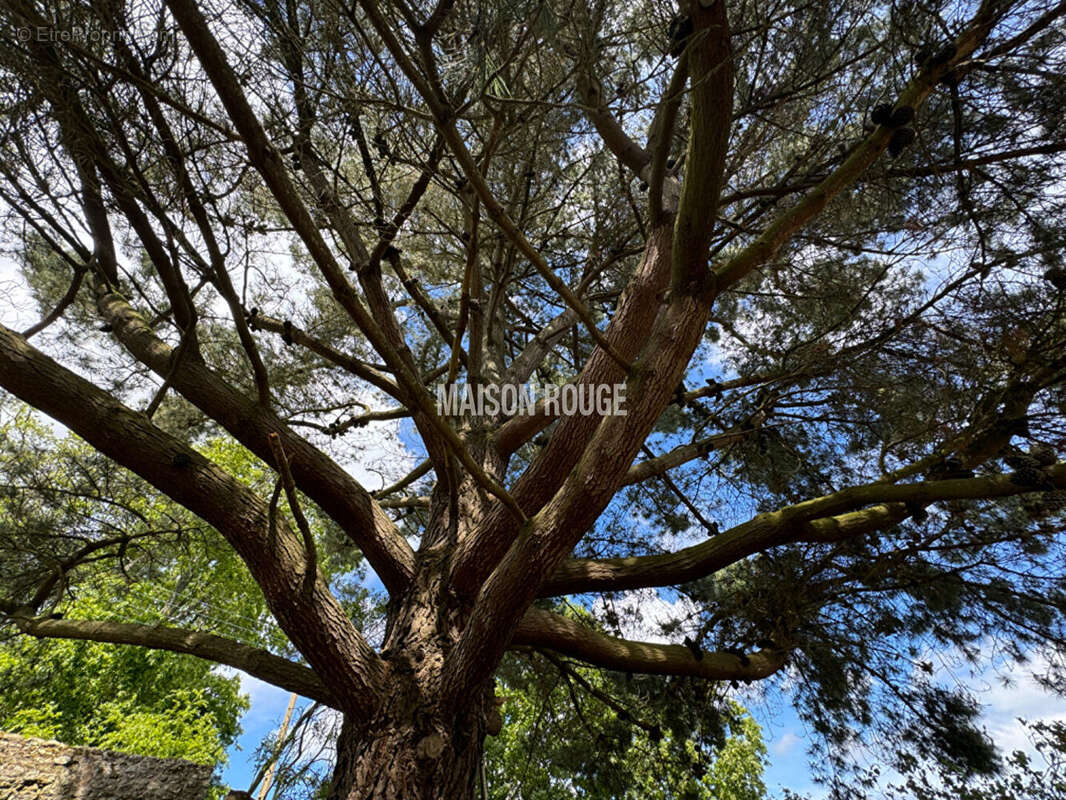 Maison à SAINT-MALO