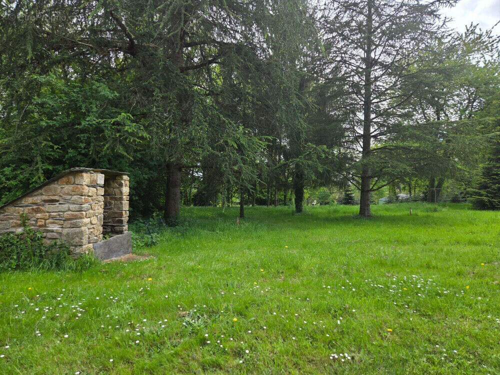 Maison à BAINS-SUR-OUST