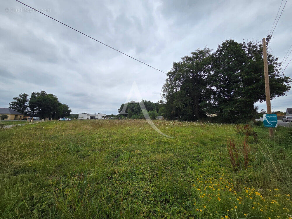 Terrain à GUEMENE-PENFAO
