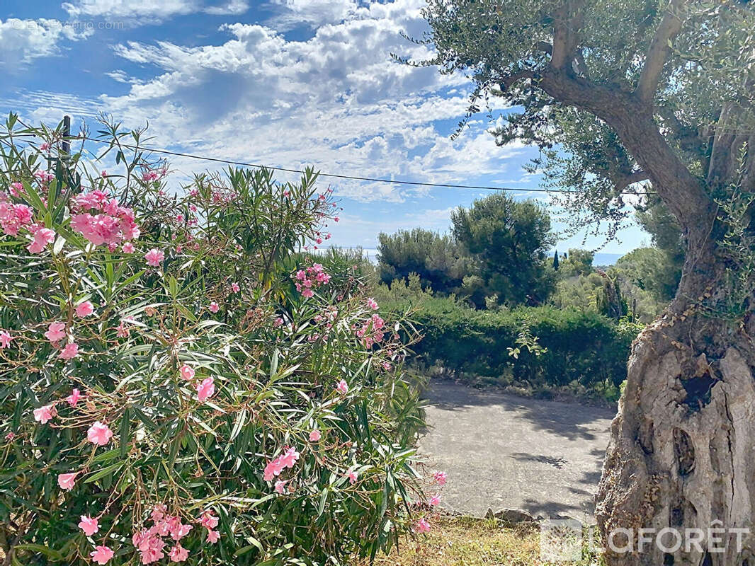 Terrain à ROQUEBRUNE-CAP-MARTIN