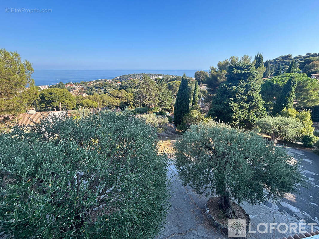 Terrain à ROQUEBRUNE-CAP-MARTIN