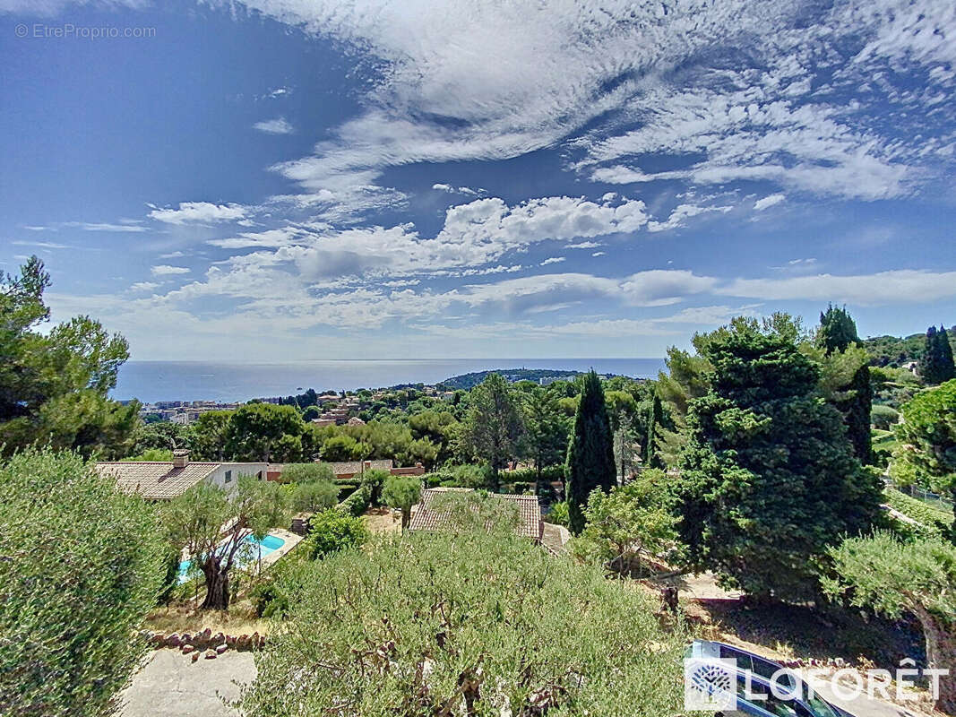 Terrain à ROQUEBRUNE-CAP-MARTIN