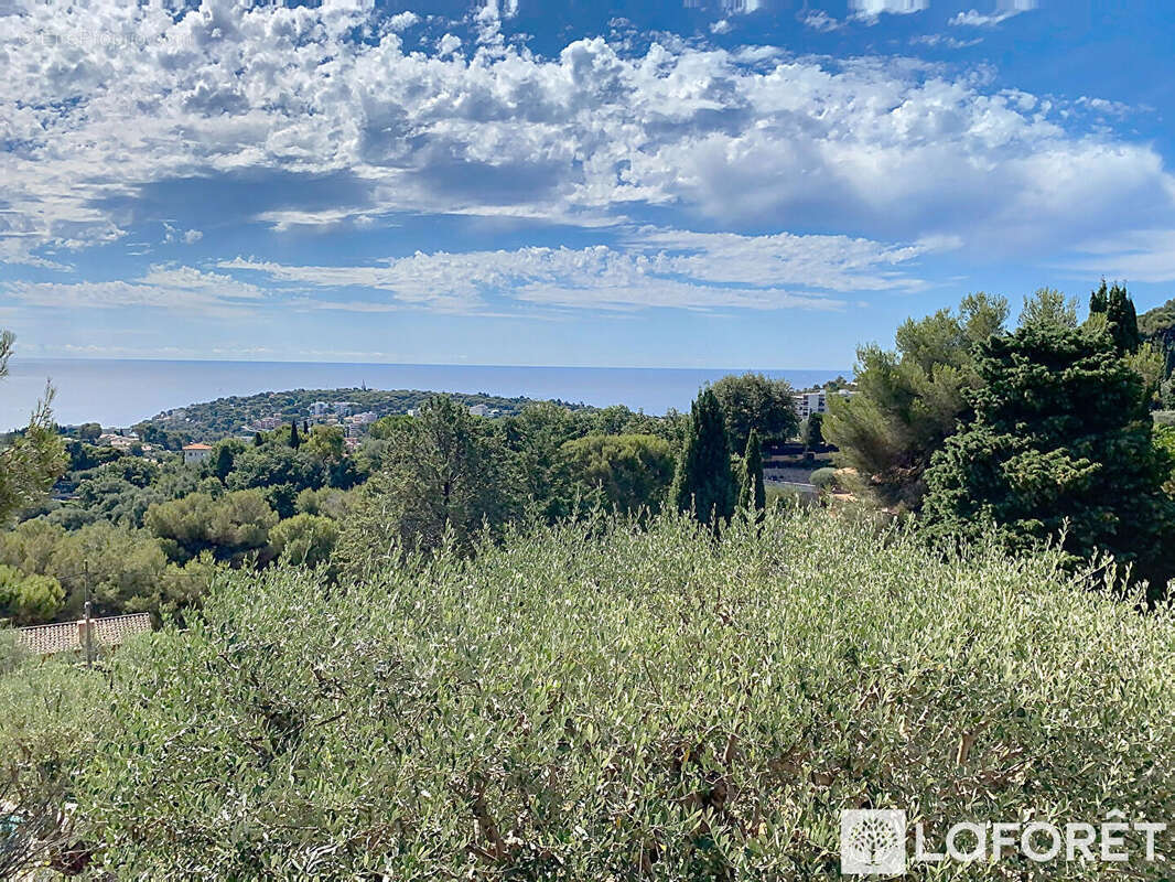 Terrain à ROQUEBRUNE-CAP-MARTIN