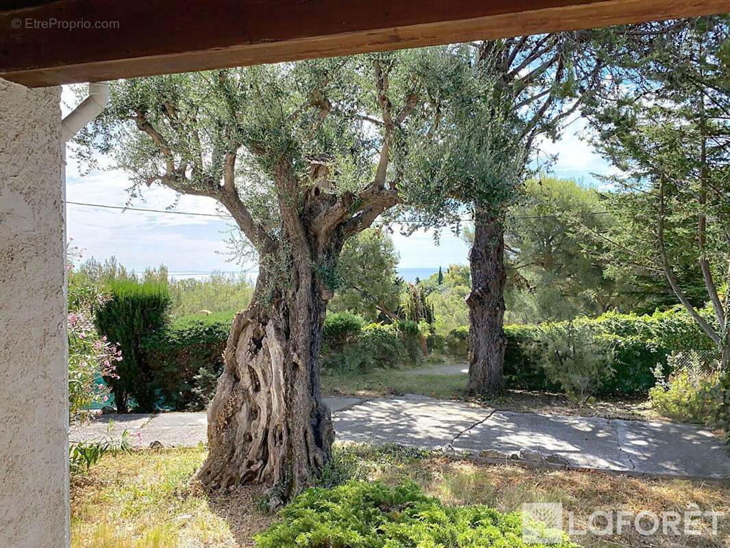Terrain à ROQUEBRUNE-CAP-MARTIN
