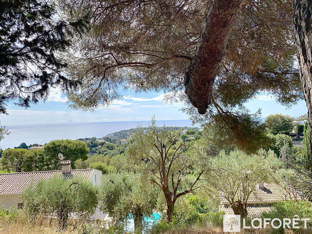 Terrain à ROQUEBRUNE-CAP-MARTIN