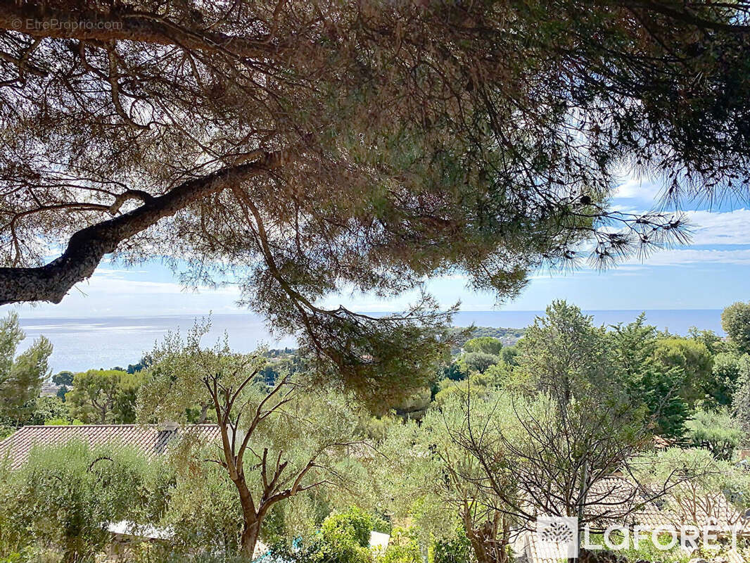 Terrain à ROQUEBRUNE-CAP-MARTIN