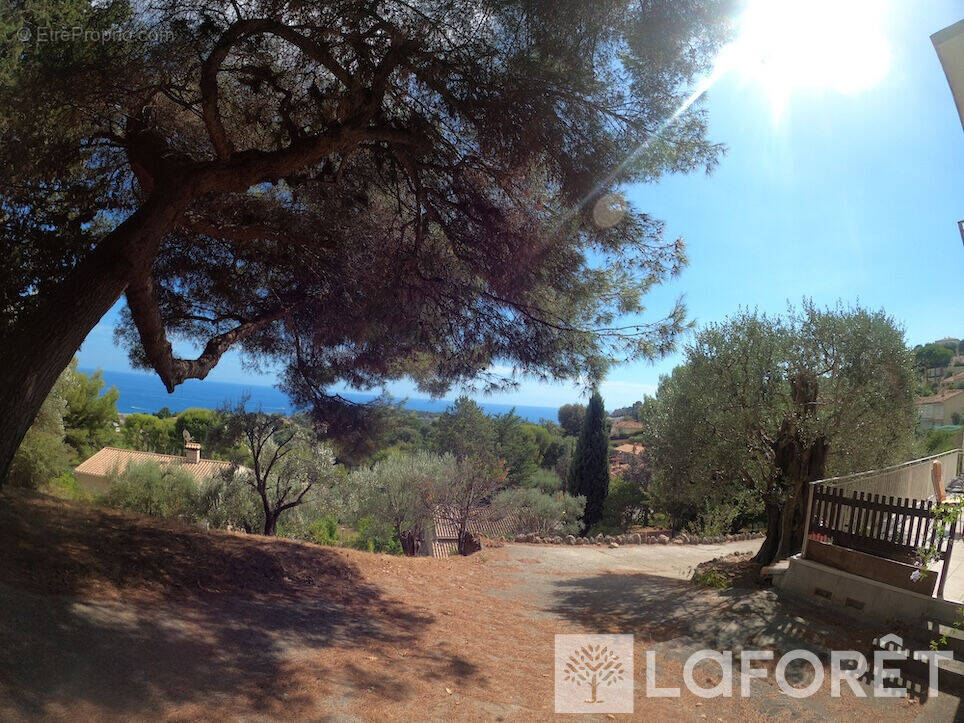 Terrain à ROQUEBRUNE-CAP-MARTIN