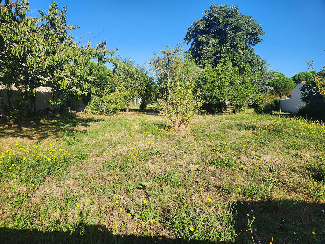 Terrain à LE CHATEAU-D&#039;OLERON