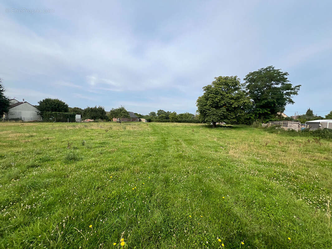 Terrain à AUZOUVILLE-SUR-RY