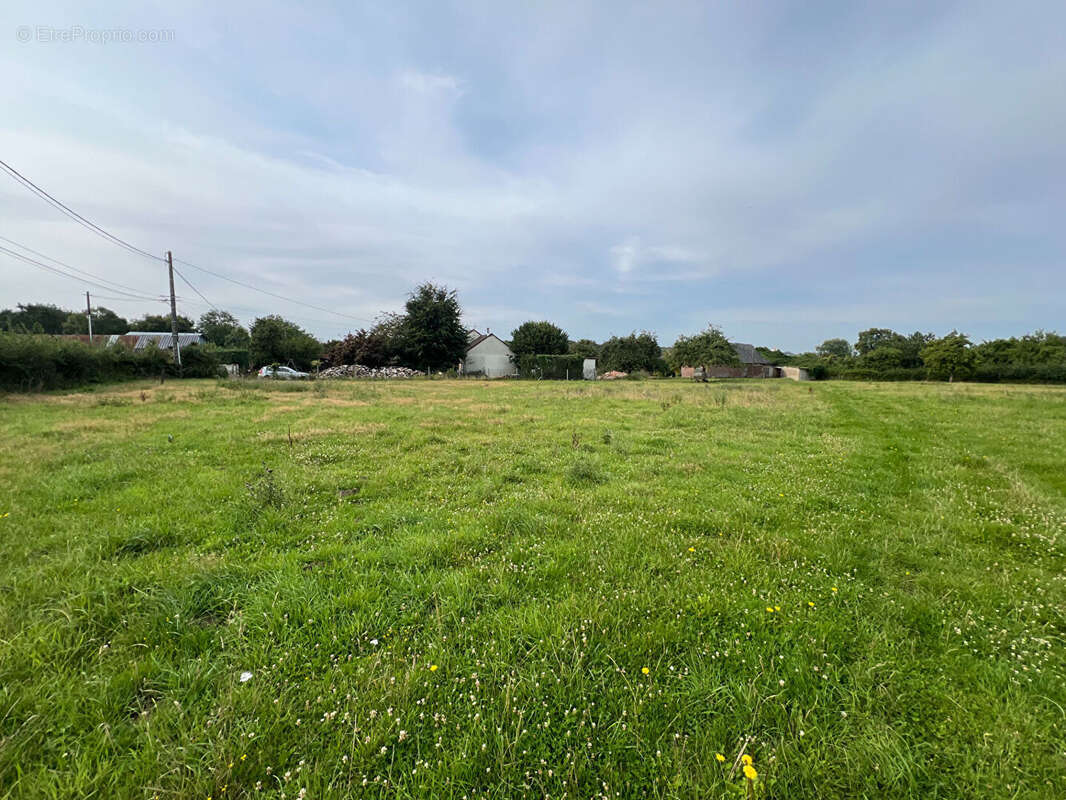 Terrain à AUZOUVILLE-SUR-RY