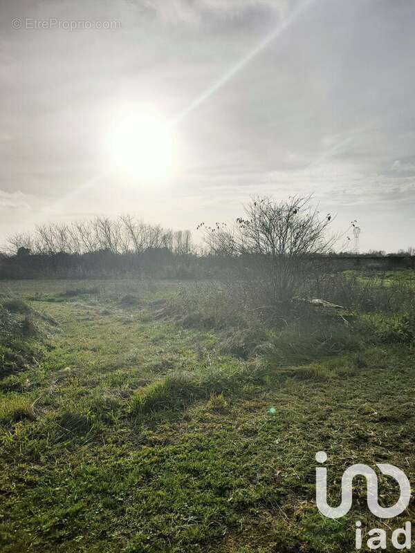 Photo 6 - Maison à MATHA