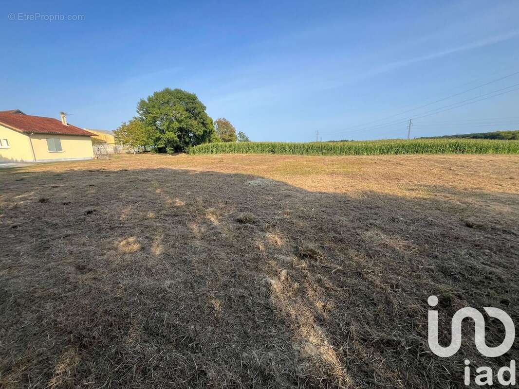 Photo 2 - Terrain à CASTETIS